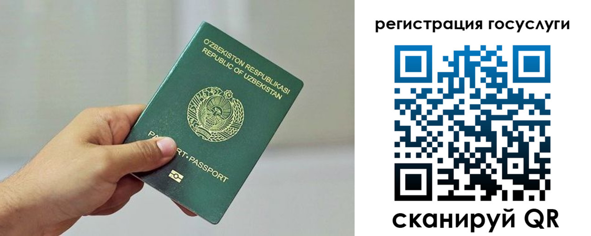 прописка гарантия в Клине